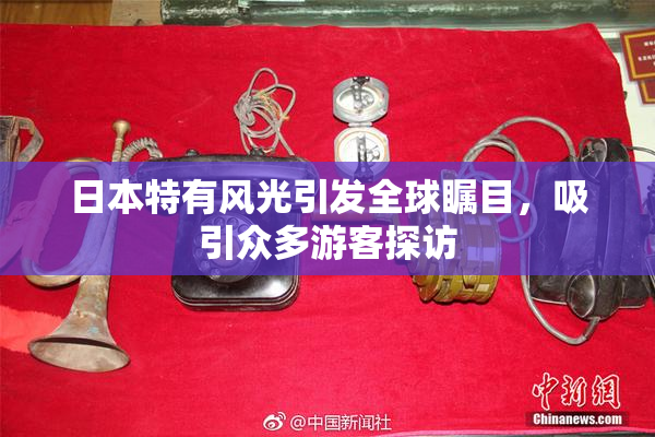日本特有风光引发全球瞩目，吸引众多游客探访