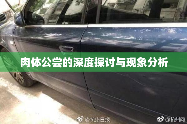 肉体公尝的深度探讨与现象分析