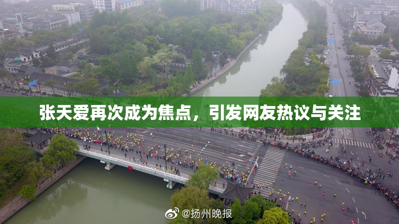 张天爱再次成为焦点，引发网友热议与关注