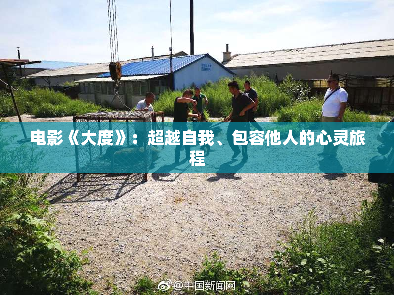 电影《大度》：超越自我、包容他人的心灵旅程