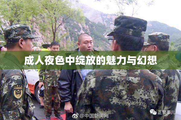 成人夜色中绽放的魅力与幻想