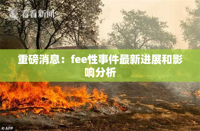 重磅消息：fee性事件最新进展和影响分析