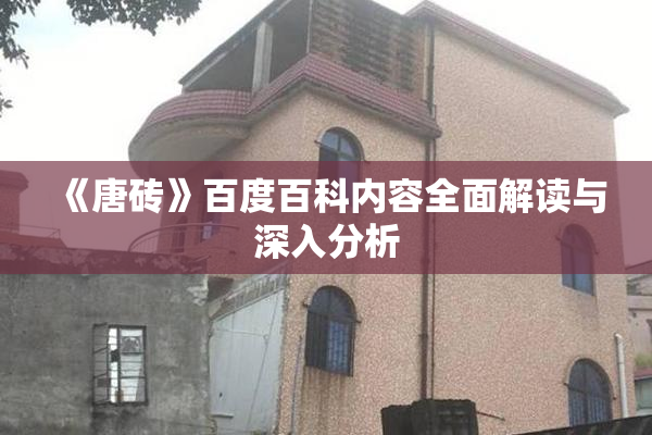 《唐砖》百度百科内容全面解读与深入分析