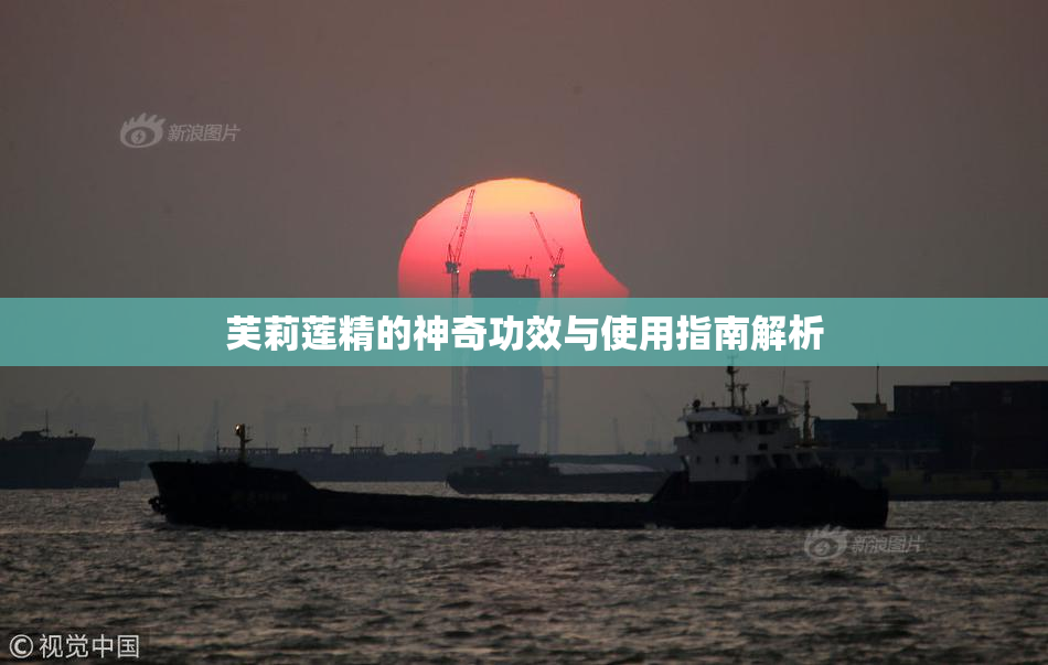 芙莉莲精的神奇功效与使用指南解析