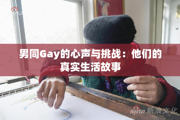 男同Gay的心声与挑战：他们的真实生活故事