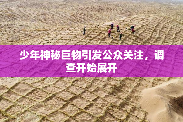 少年神秘巨物引发公众关注，调查开始展开