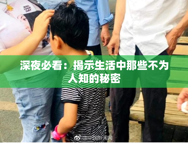 深夜必看：揭示生活中那些不为人知的秘密