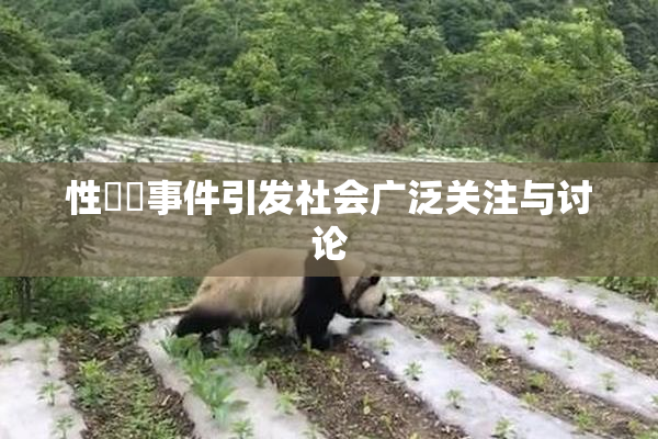 性亂倫事件引发社会广泛关注与讨论