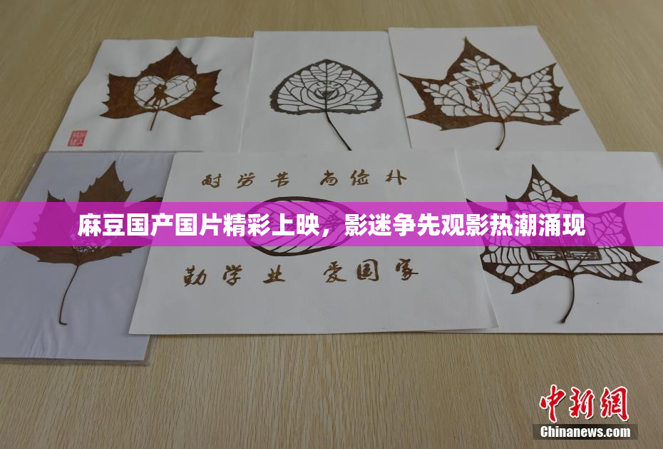 麻豆国产国片精彩上映，影迷争先观影热潮涌现