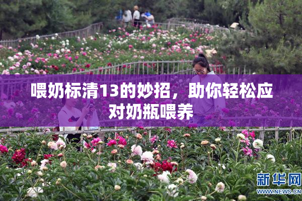 喂奶标清13的妙招，助你轻松应对奶瓶喂养