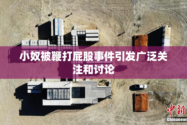 小奴被鞭打屁股事件引发广泛关注和讨论