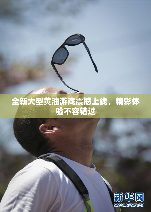 全新大型黄油游戏震撼上线，精彩体验不容错过