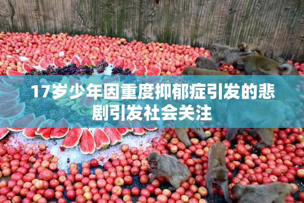17岁少年因重度抑郁症引发的悲剧引发社会关注