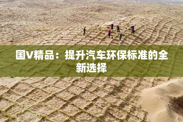 国V精品：提升汽车环保标准的全新选择