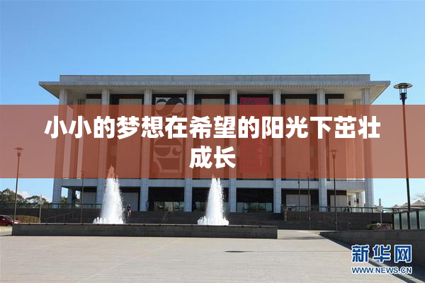 小小的梦想在希望的阳光下茁壮成长
