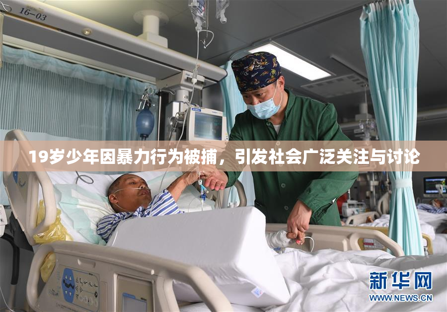 19岁少年因暴力行为被捕，引发社会广泛关注与讨论