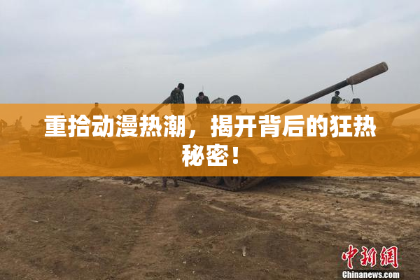 重拾动漫热潮，揭开背后的狂热秘密！