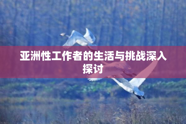 亚洲性工作者的生活与挑战深入探讨