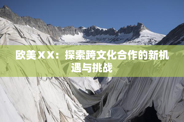 欧美ⅩX：探索跨文化合作的新机遇与挑战