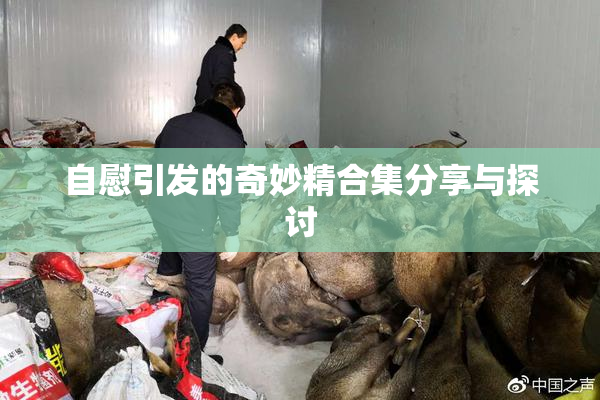 自慰引发的奇妙精合集分享与探讨
