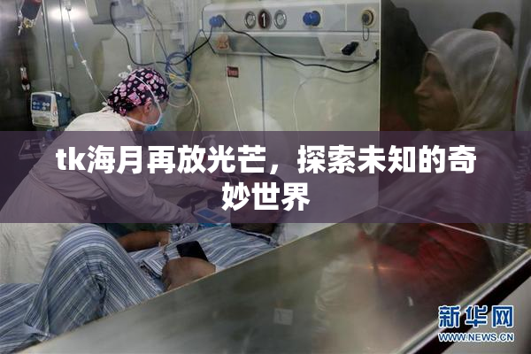 tk海月再放光芒，探索未知的奇妙世界