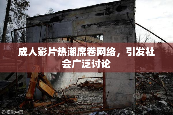 成人影片热潮席卷网络，引发社会广泛讨论