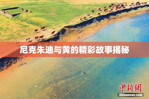 尼克朱迪与黄的精彩故事揭秘
