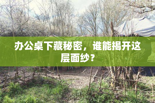 办公桌下藏秘密，谁能揭开这层面纱？