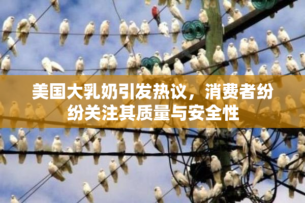 美国大乳奶引发热议，消费者纷纷关注其质量与安全性