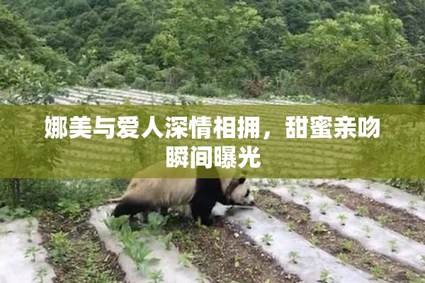 娜美与爱人深情相拥，甜蜜亲吻瞬间曝光