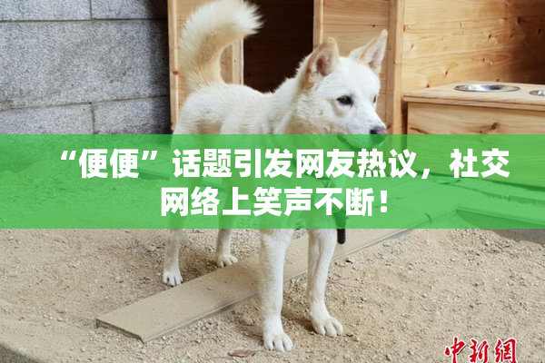 “便便”话题引发网友热议，社交网络上笑声不断！