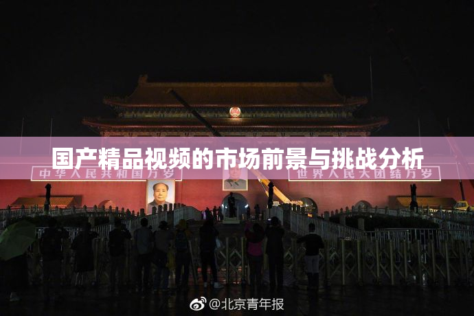 国产精品视频的市场前景与挑战分析