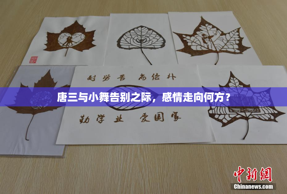 唐三与小舞告别之际，感情走向何方？