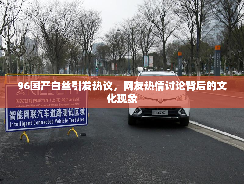 96国产白丝引发热议，网友热情讨论背后的文化现象