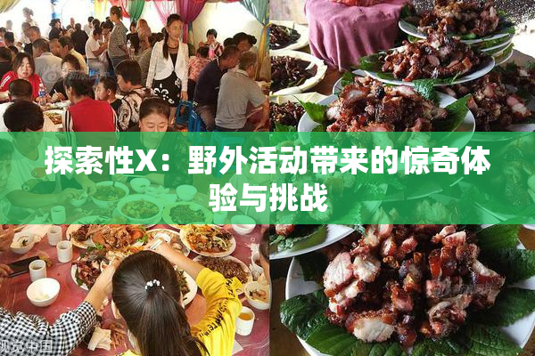 探索性X：野外活动带来的惊奇体验与挑战