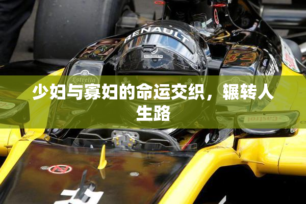 少妇与寡妇的命运交织，辗转人生路