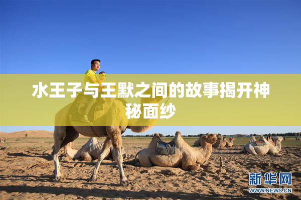 水王子与王默之间的故事揭开神秘面纱
