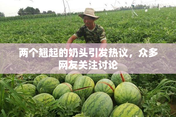 两个翘起的奶头引发热议，众多网友关注讨论