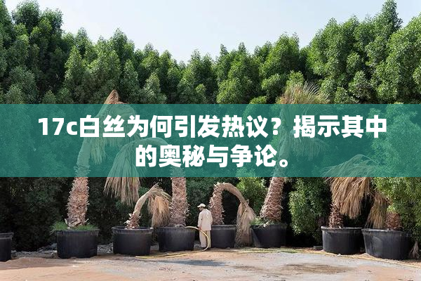 17c白丝为何引发热议？揭示其中的奥秘与争论。