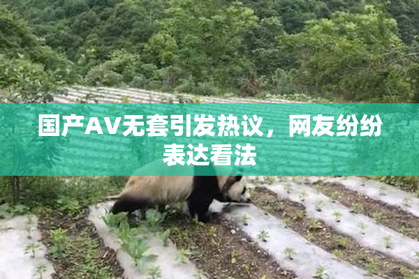 国产AV无套引发热议，网友纷纷表达看法