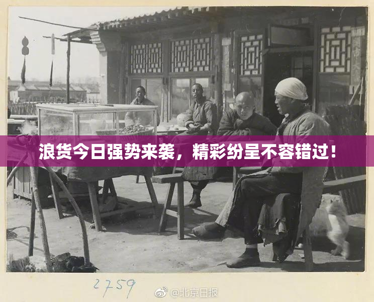 浪货今日强势来袭，精彩纷呈不容错过！