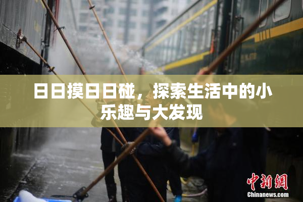日日摸日日碰，探索生活中的小乐趣与大发现