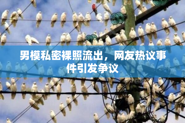 男模私密裸照流出，网友热议事件引发争议