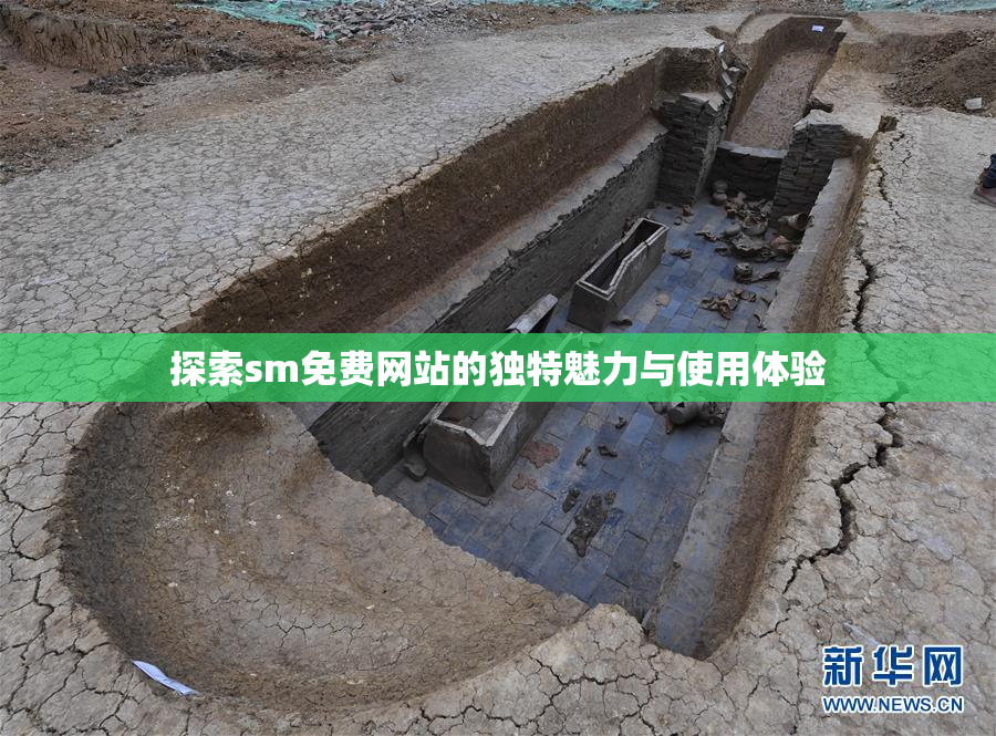 探索sm免费网站的独特魅力与使用体验
