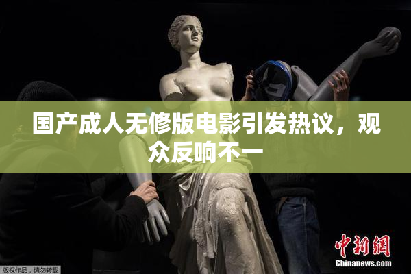国产成人无修版电影引发热议，观众反响不一