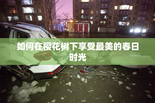 如何在樱花树下享受最美的春日时光