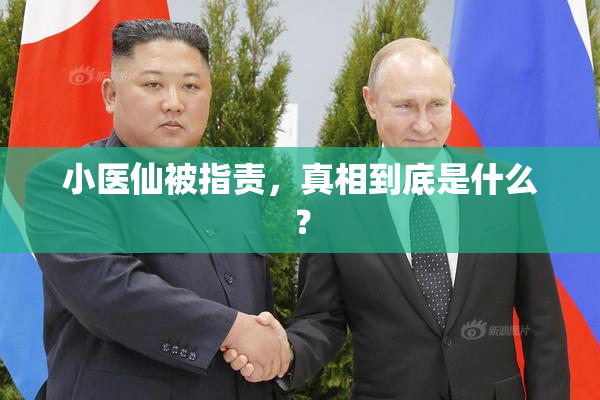 小医仙被指责，真相到底是什么？