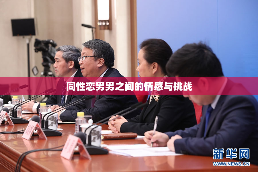 同性恋男男之间的情感与挑战