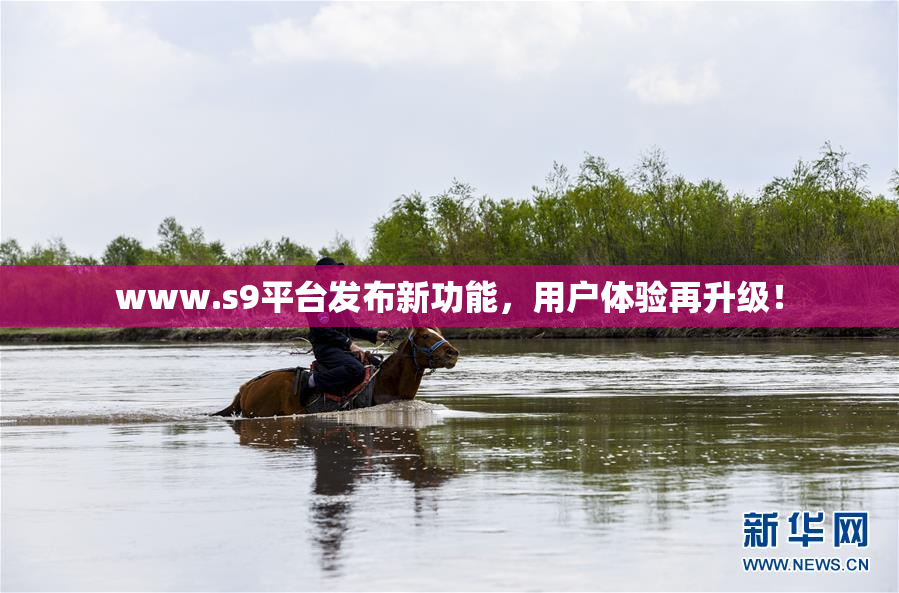 www.s9平台发布新功能，用户体验再升级！