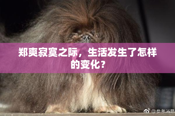 郑爽寂寞之际，生活发生了怎样的变化？
